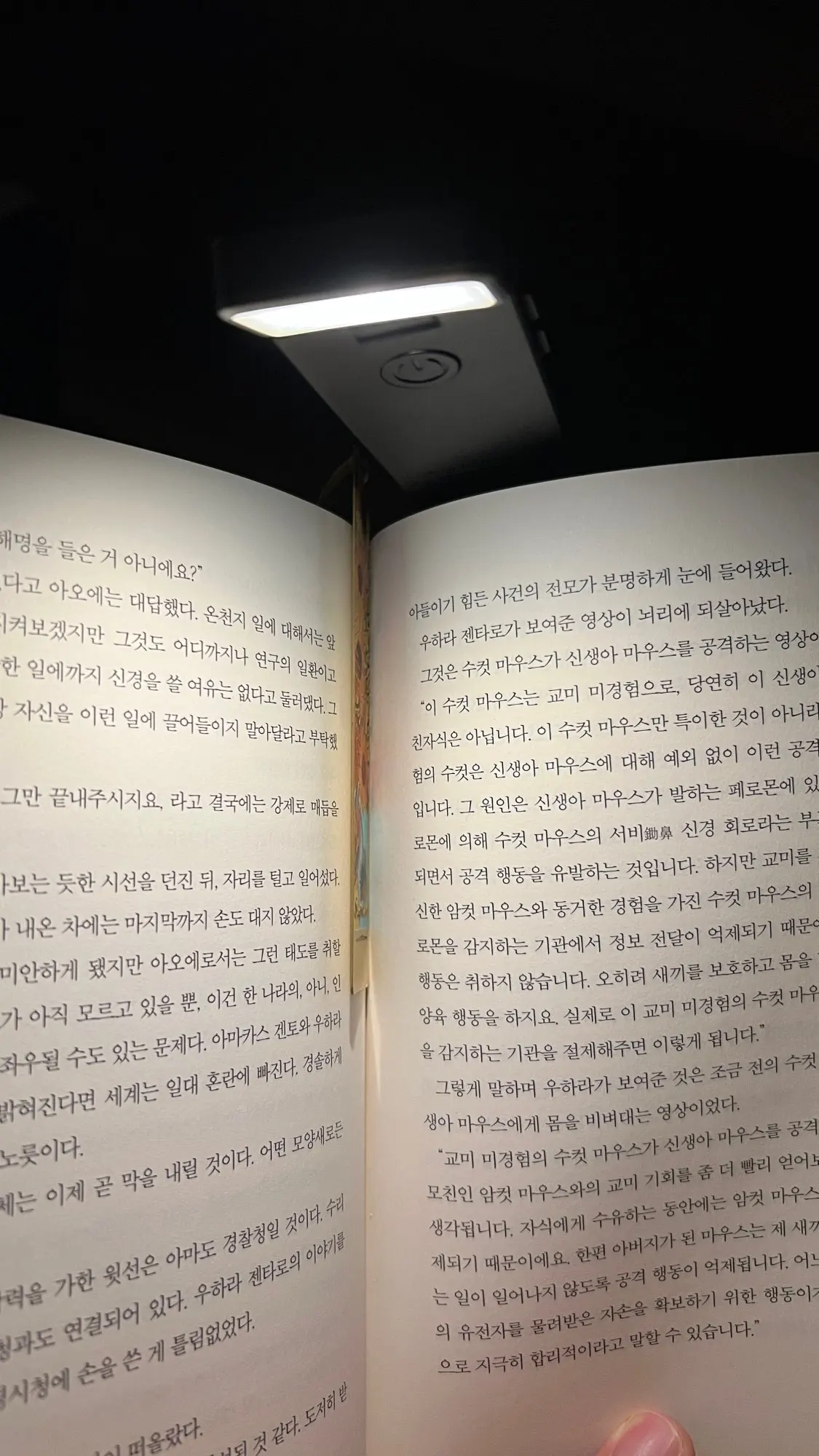 구매후기