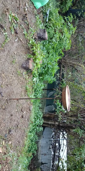 Garden Birdbath Sturdy Iron Outdoor Bird Bath for Outside Vintage Standing Birdbath Bowl for Outdoor Garden Patio Yard photo review