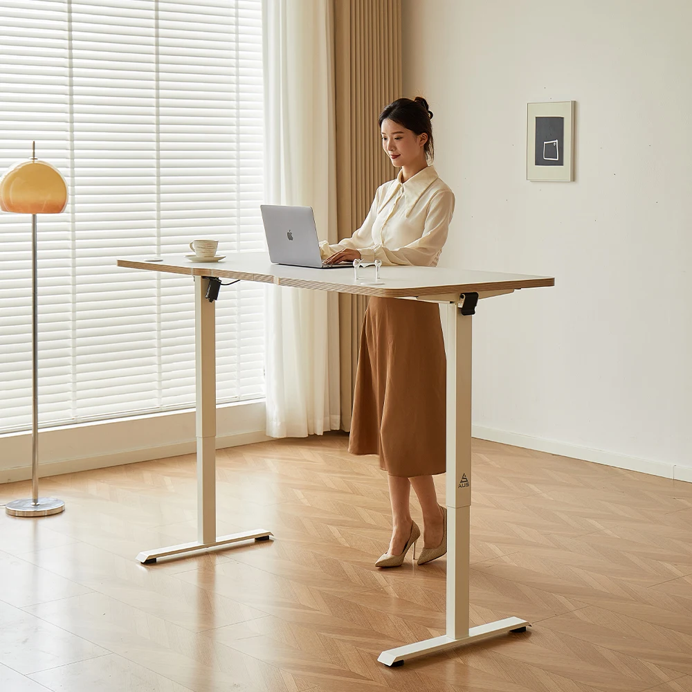 Aus FJ03 Simple-assembled Electric Motion Desk One-neck Electric Desk Height-adjustable Desk Standing Desk 1000 1200 1400 1600