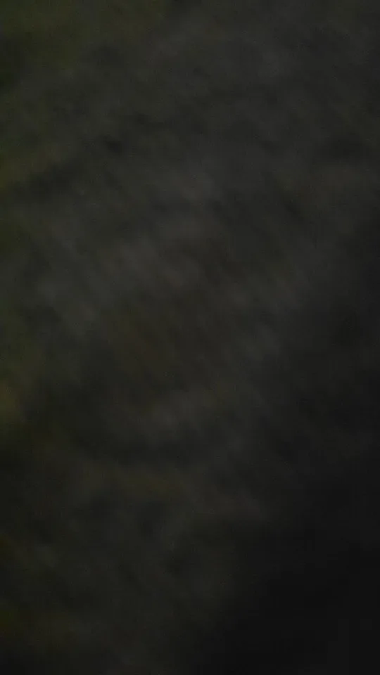 실물 포토 리뷰