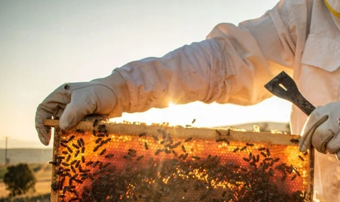 عسل متعدد الزهور 1 كيلو - حصاد طازج من يونيو وجوليو 2025