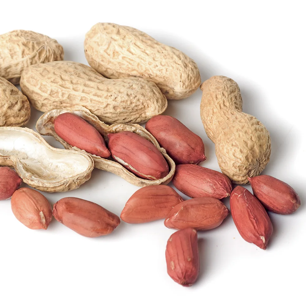 미다몰 볶음 땅콩 1kg+1kg