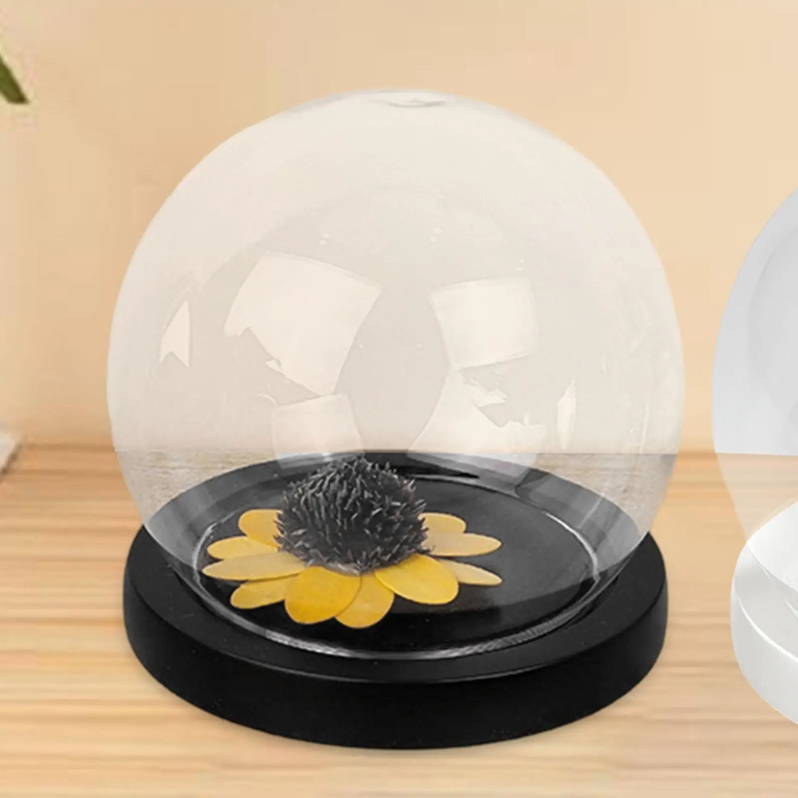 

Glass Cloche Dome Valentines Day Gifts Cloche Bell Jar Showcase for Her Centerpieces Home Glass Dome Landscape