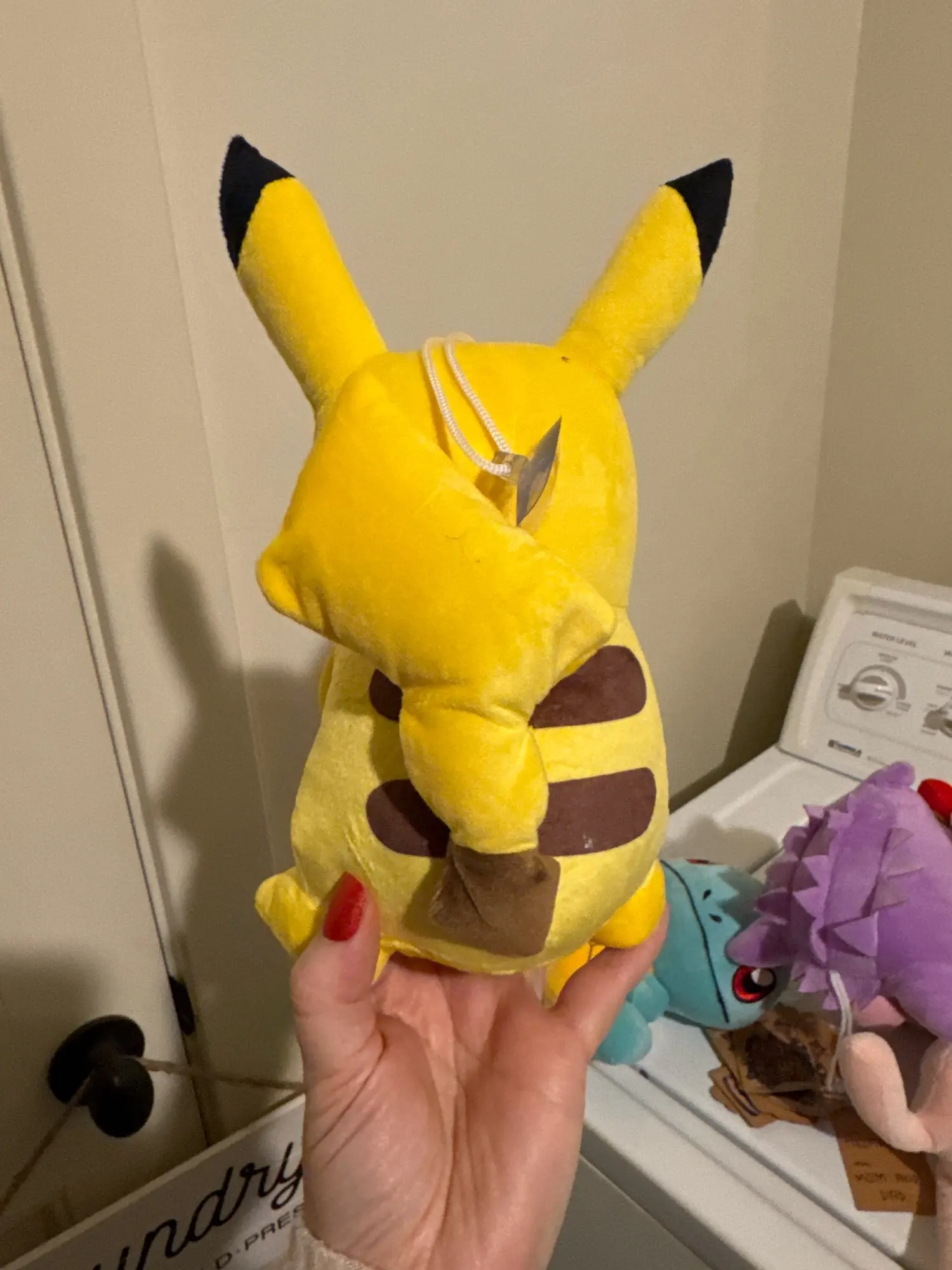 Customer review photo