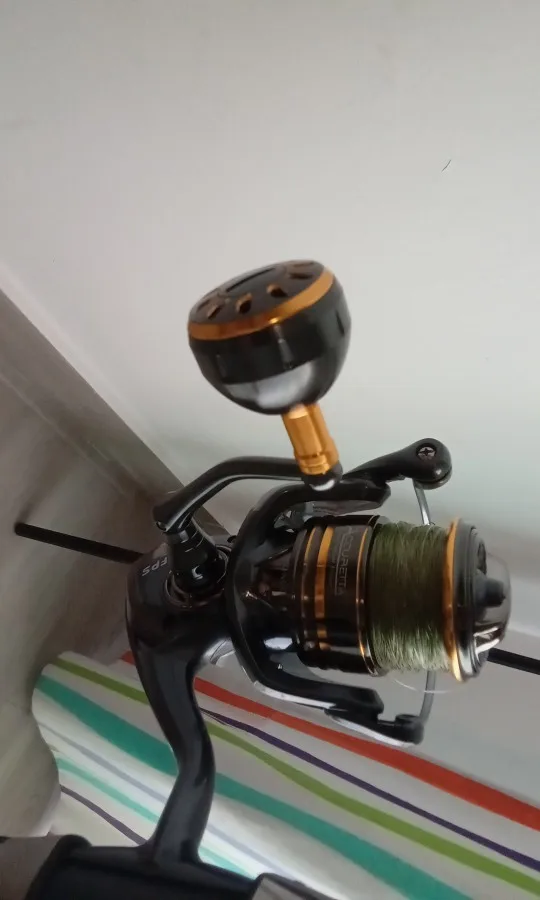 BEARKING brand New arrival Saltwater Fishing Reel Spinning 1000-6000 9+1BB 5.2:1 Max Drag 12KG Water-Proof Reels photo review