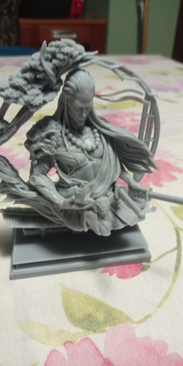 Buyer photo of this resin kit