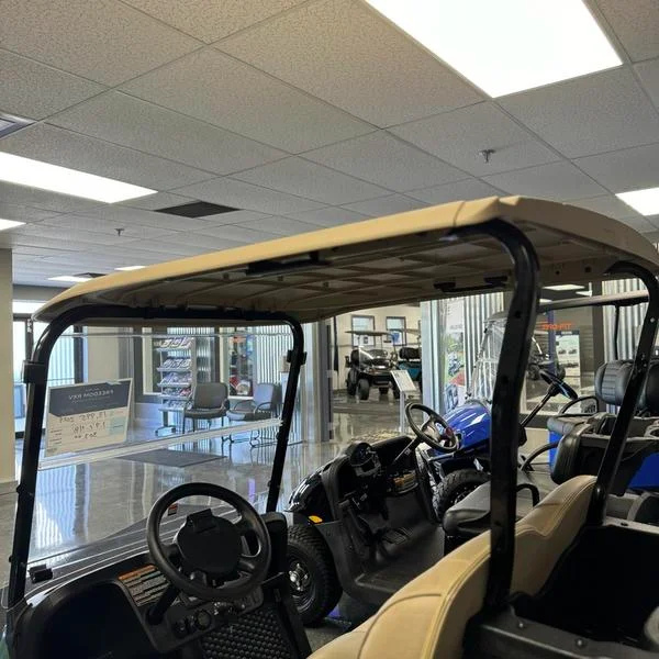 Freedom RXV Refresh E Z EveTE-GO Lithium Forest Golf Cart, Groupe motopropulseur à gaz EFI, 2024 HP, 4 passagers, Meilleur prix, Tout neuf, 13.5