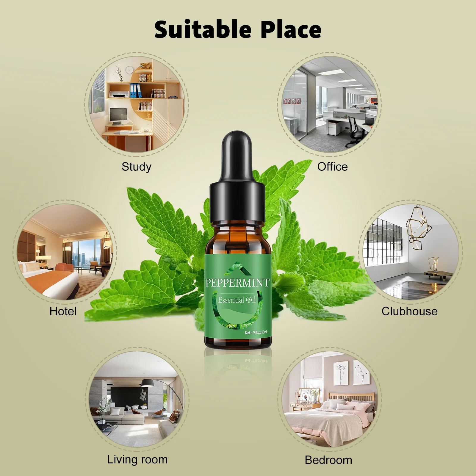 Depulat Peppermint Essential Oils Perfume for Aromatherapy Humidifiers Pure Natural Plant Extract 10ML Aroma Diffuser Oil