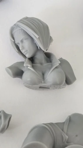 Buyer photo of this resin kit