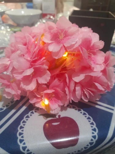 리뷰 사진