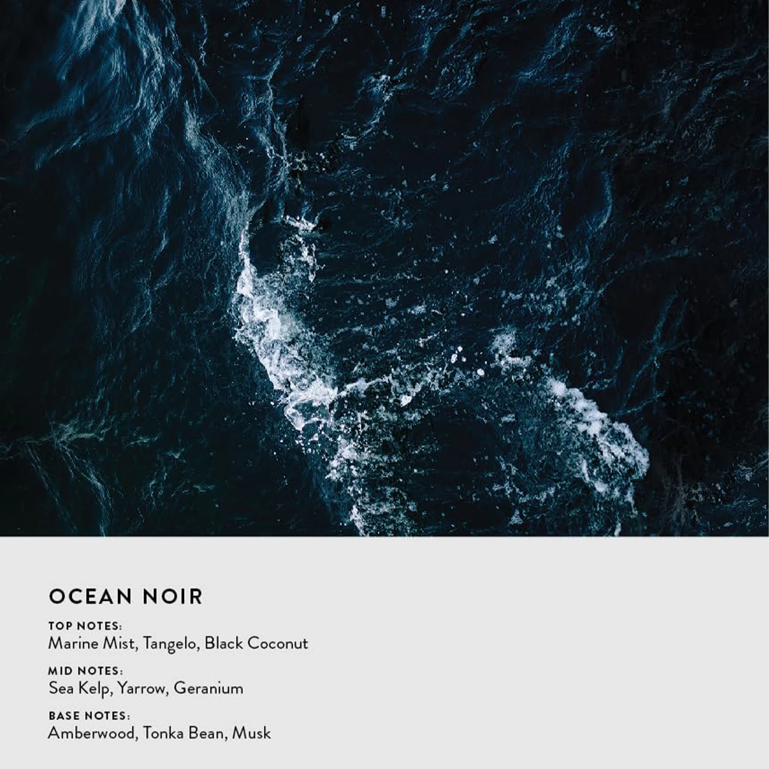 Michael Malul Ocean Noir Eau de Parfum Spray for Men – Fresh Aquatic, Dark Marine & Woody Aromatic Scent, Long-Lasting Fragrance, Perfect Gift, 100 ml / 3.4 fl oz view 7