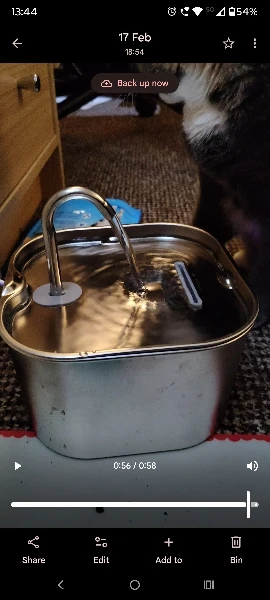 Customer review photo