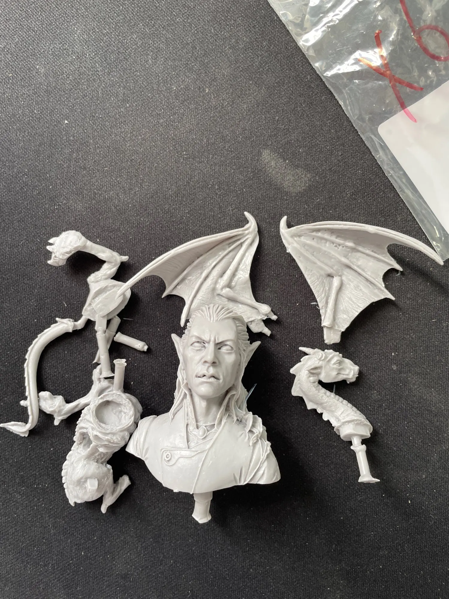 Buyer photo of this resin kit