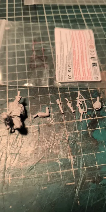 Buyer photo of this resin kit