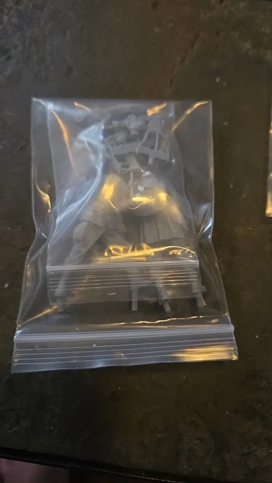 Buyer photo of this resin kit