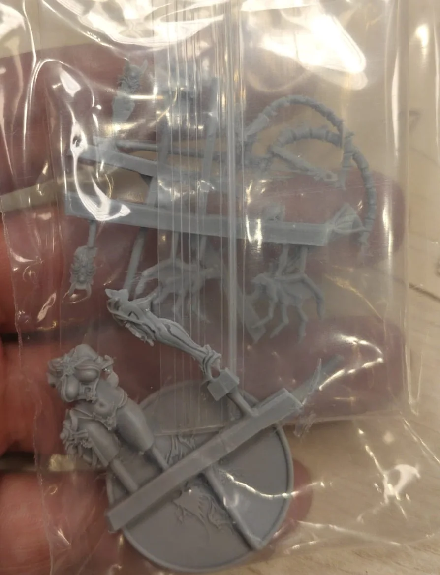 Buyer photo of this resin kit