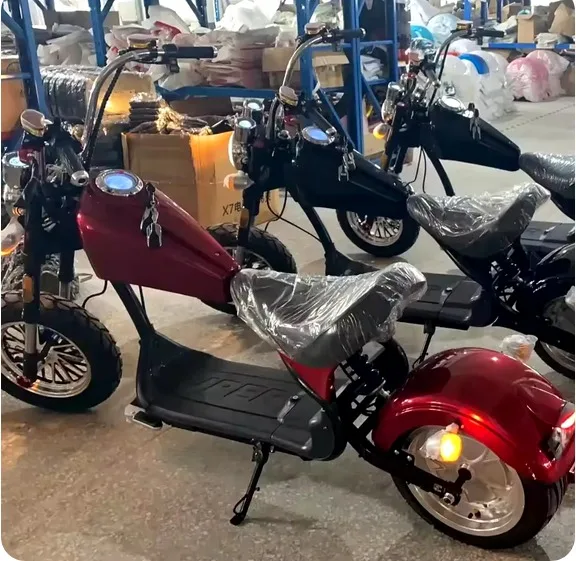 Dogebos EEC COC H6 Citycoco Electric Scooter 2000W Motor 45KM/H