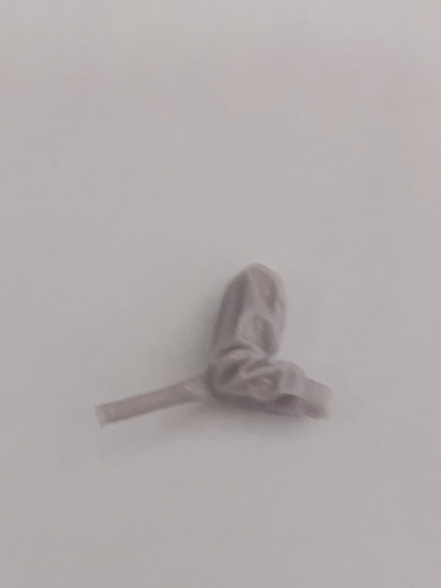 Buyer photo of this resin kit