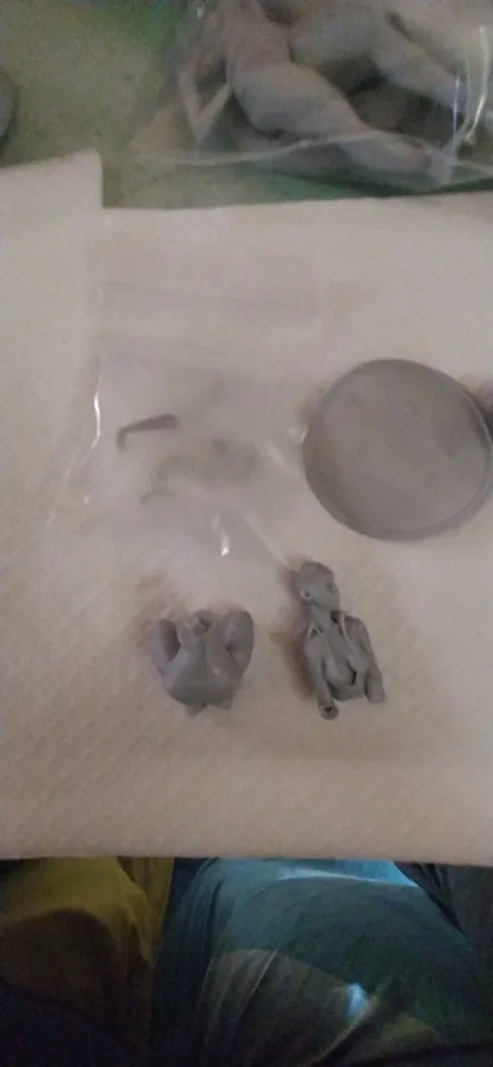 Buyer photo of this resin kit