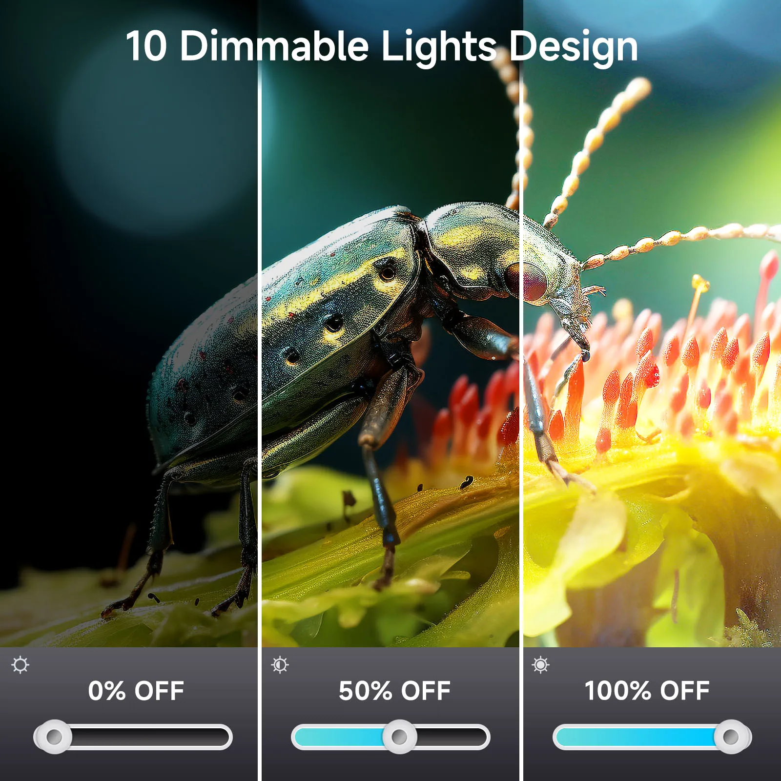 Hayve 10.1'' HDMI Digital Microscope 2000X Coin Microscope with IPS Screen 20MP Soldering Microscope for Electronics PC View