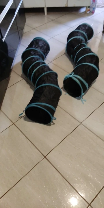 실물 포토 리뷰