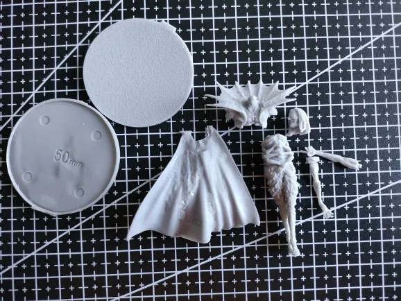 Buyer photo of this resin kit