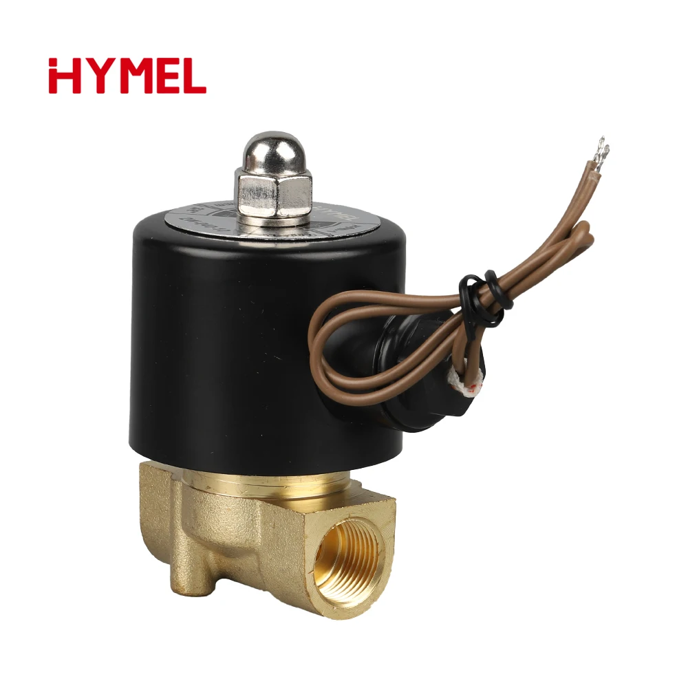 전기 솔레노이드 밸브 공압식 일반적으로 닫힘형 물 오일 공기용 - 다양한 크기 가능 12V 24V 220V 110V