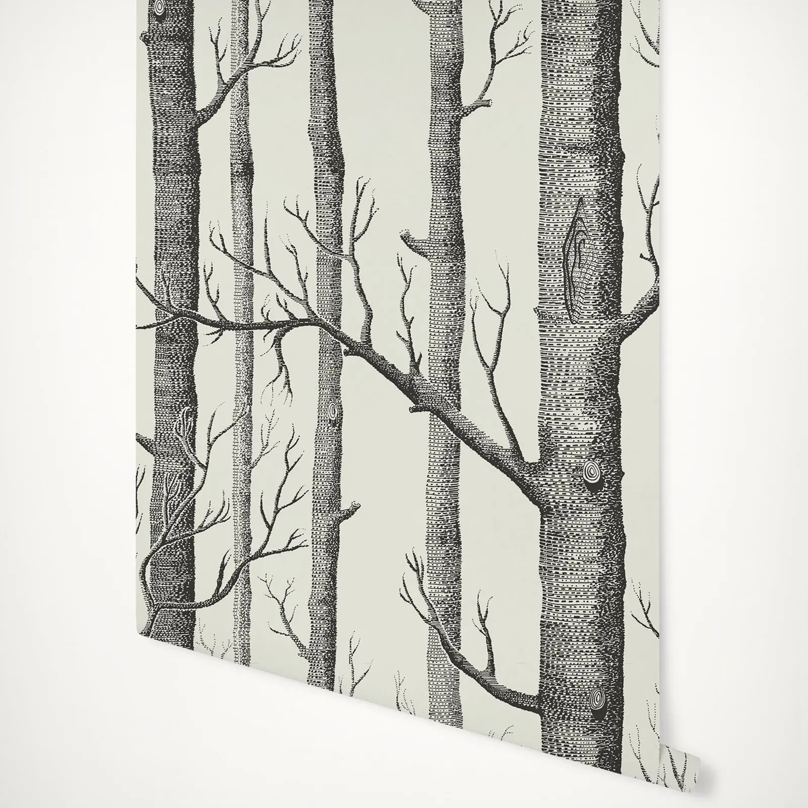 Birch Tree  wallpaper Icons Woods Forest wallpaper, scandinavian  style wallpaper black and white trees