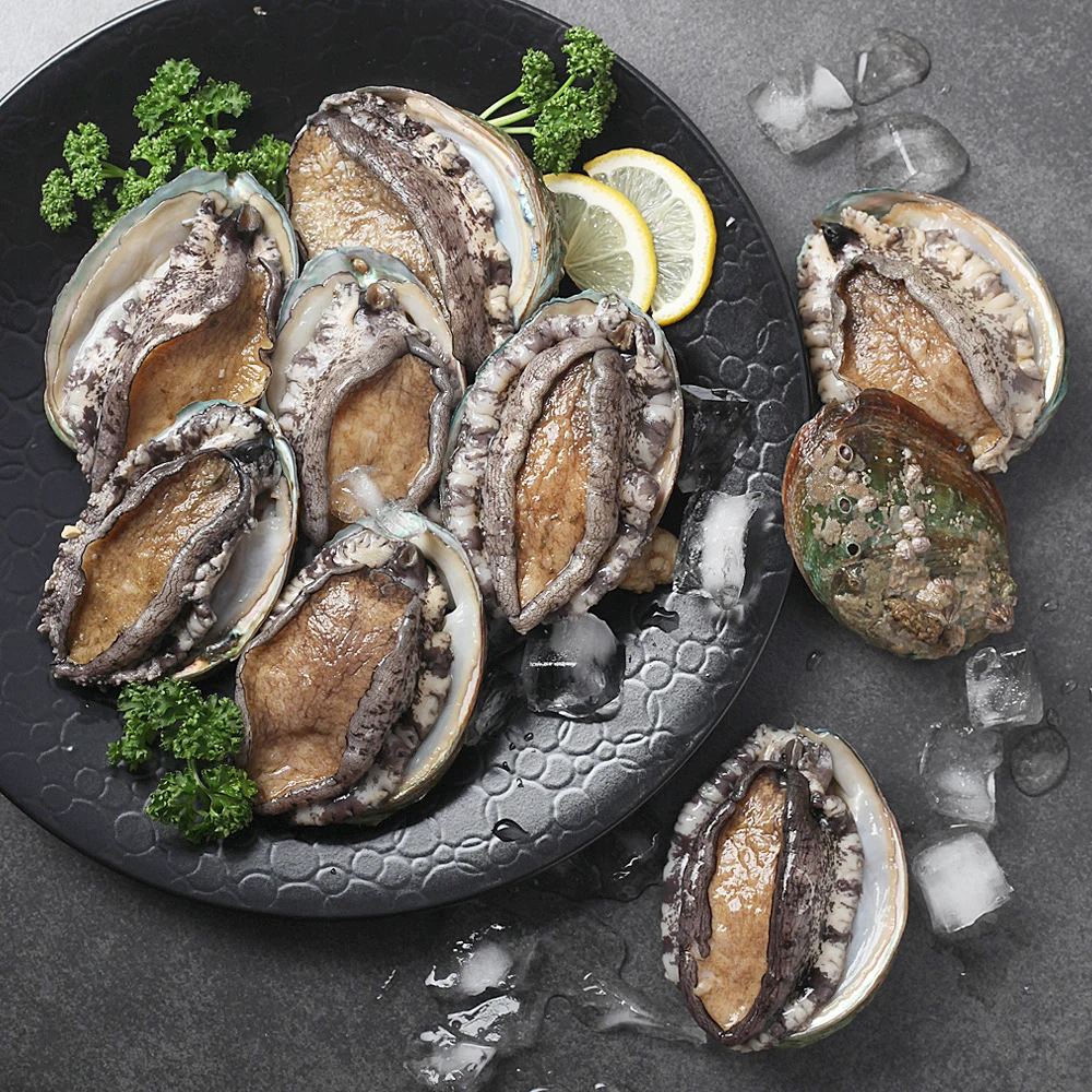 واندو بو أذن البحر 1 كجم 12-14 مي #1