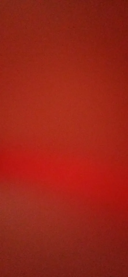 실물 포토 리뷰