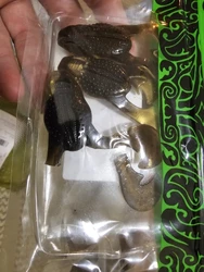 Imagen de reseña 2