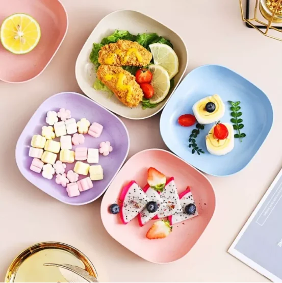 10 Dishes Set Set With Base Reusable Pure Plastics-Neverdie Store