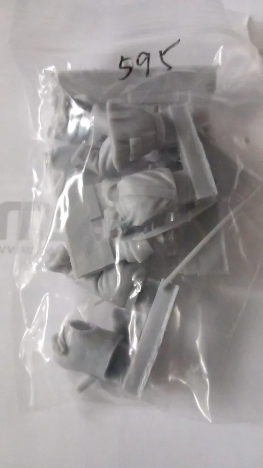 Buyer photo of this resin kit