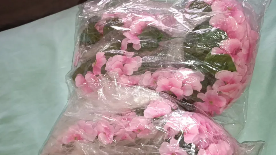 구매후기