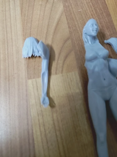 Buyer photo of this resin kit