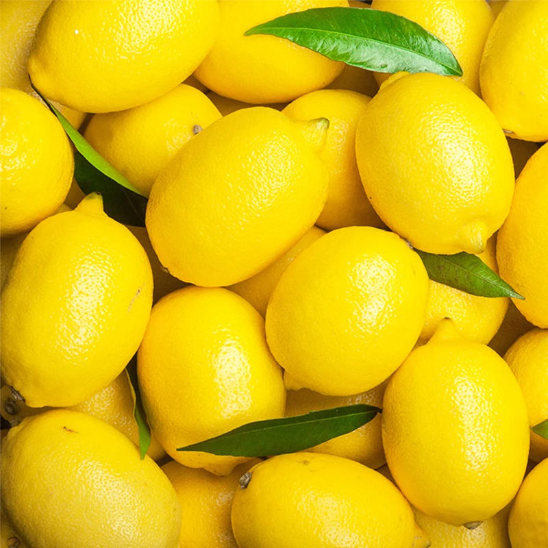 상큼함 가득 정품 수입 레몬 소중대과