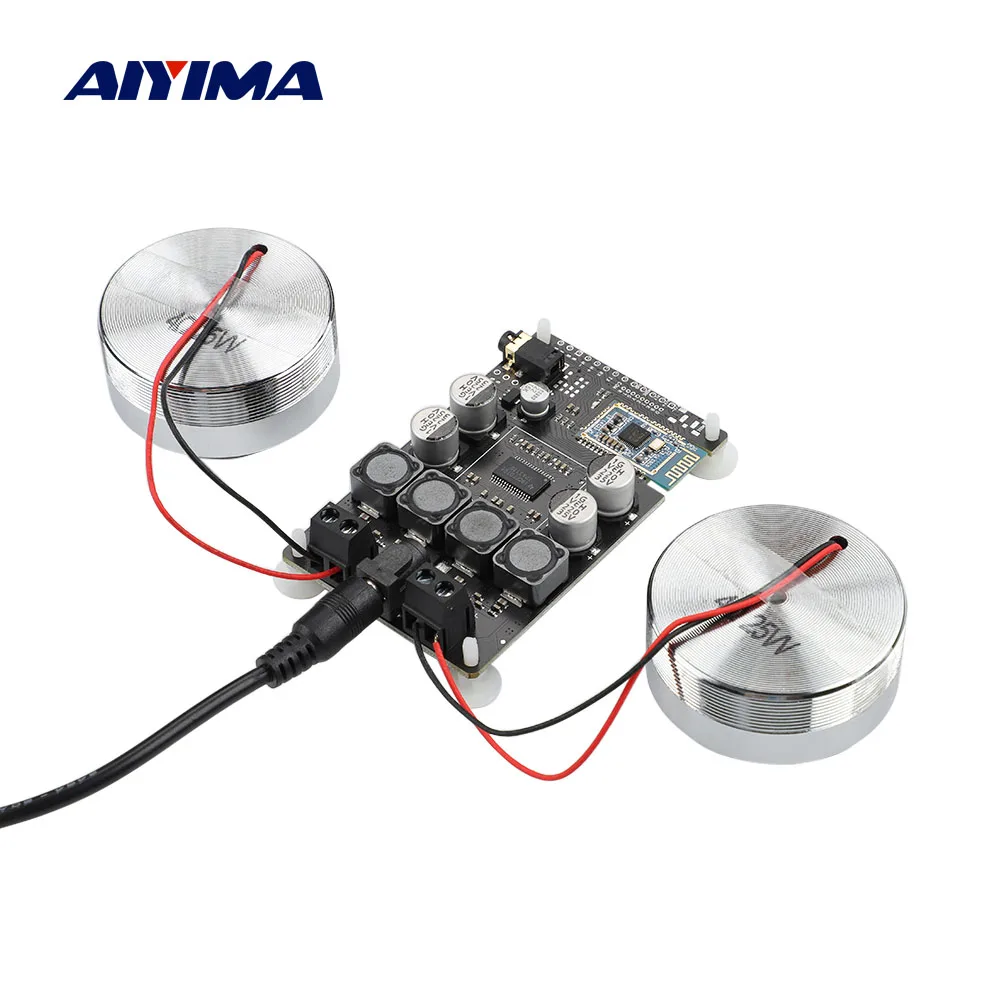 AIYIMA 2 Inch Audio Portable 25W Resonance Vibration Speaker TPA3118 Bluetooth 5.0 Amplifier Sound Neodymium Altavoz DC 12V 5A