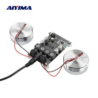 AIYIMA 2 pulgadas Audio portátil 25W resonancia vibración Altavoz TPA3118 Bluetooth 5,0 amplificador sonido neodimio Altavoz DC 12V 5A