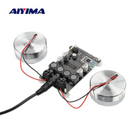 AIYIMA 2 Inch Audio Portable 25W Resonance Vibration Speaker TPA3118 Bluetooth 5.0 Amplifier Sound Neodymium Altavoz DC 12V 5A