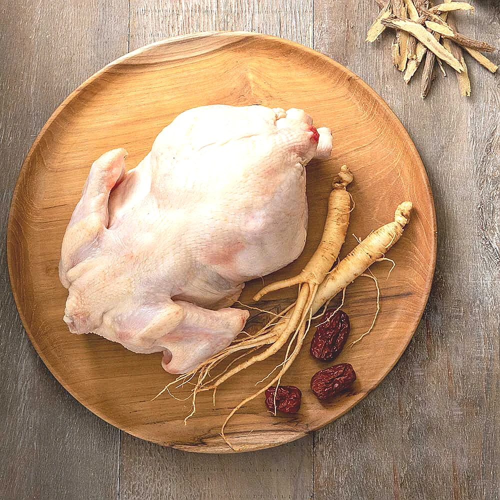Pollo viejo masticable doméstico, tamaño exterior, alrededor de 1,5 kg, batería