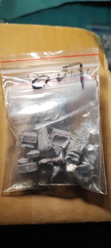 Buyer photo of this resin kit