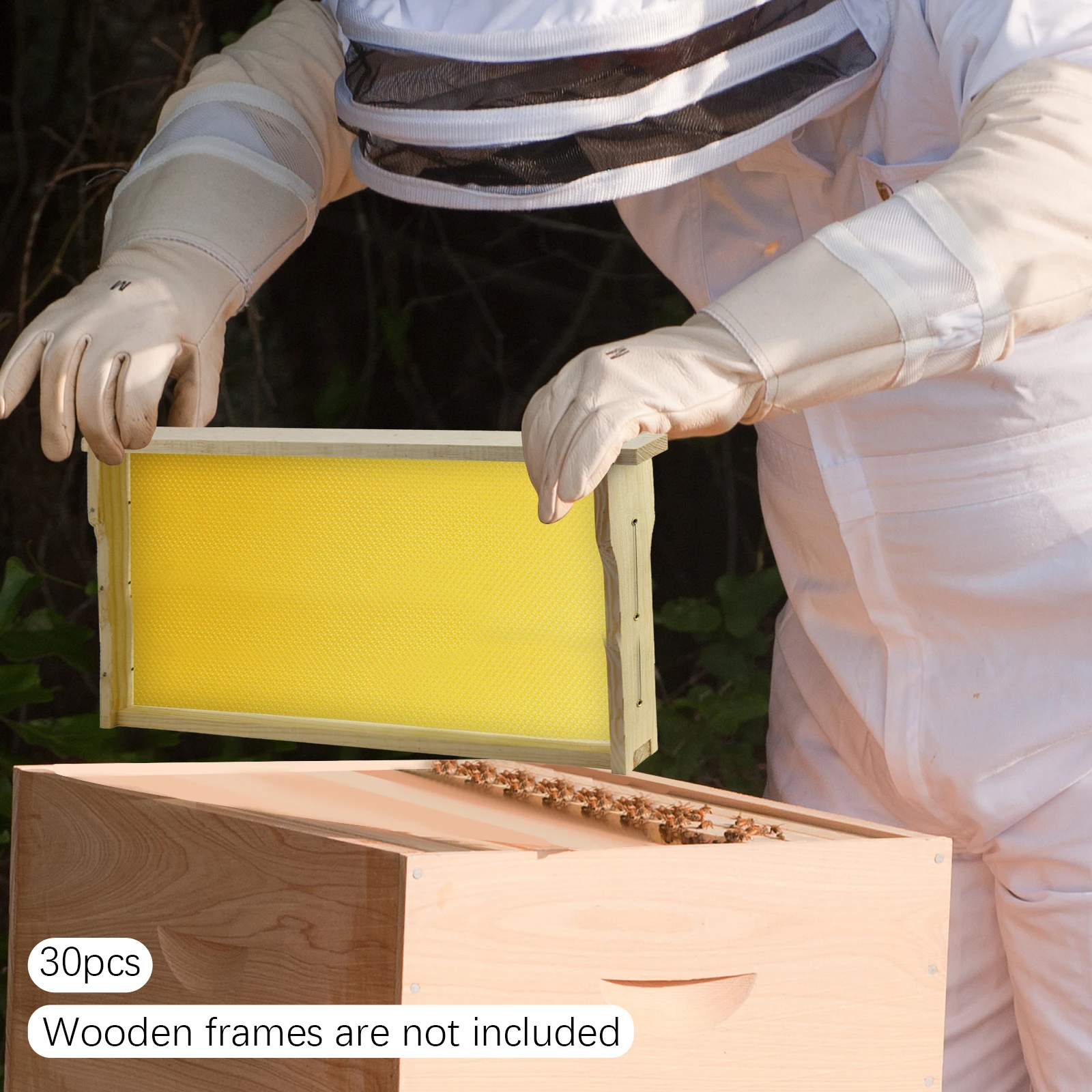 

Beeswax Sheets, 30Pcs Bee Hive Foundation Beekeeping Equipment High Temperature Sterilized Wax Comb Foundation for Honey Produce