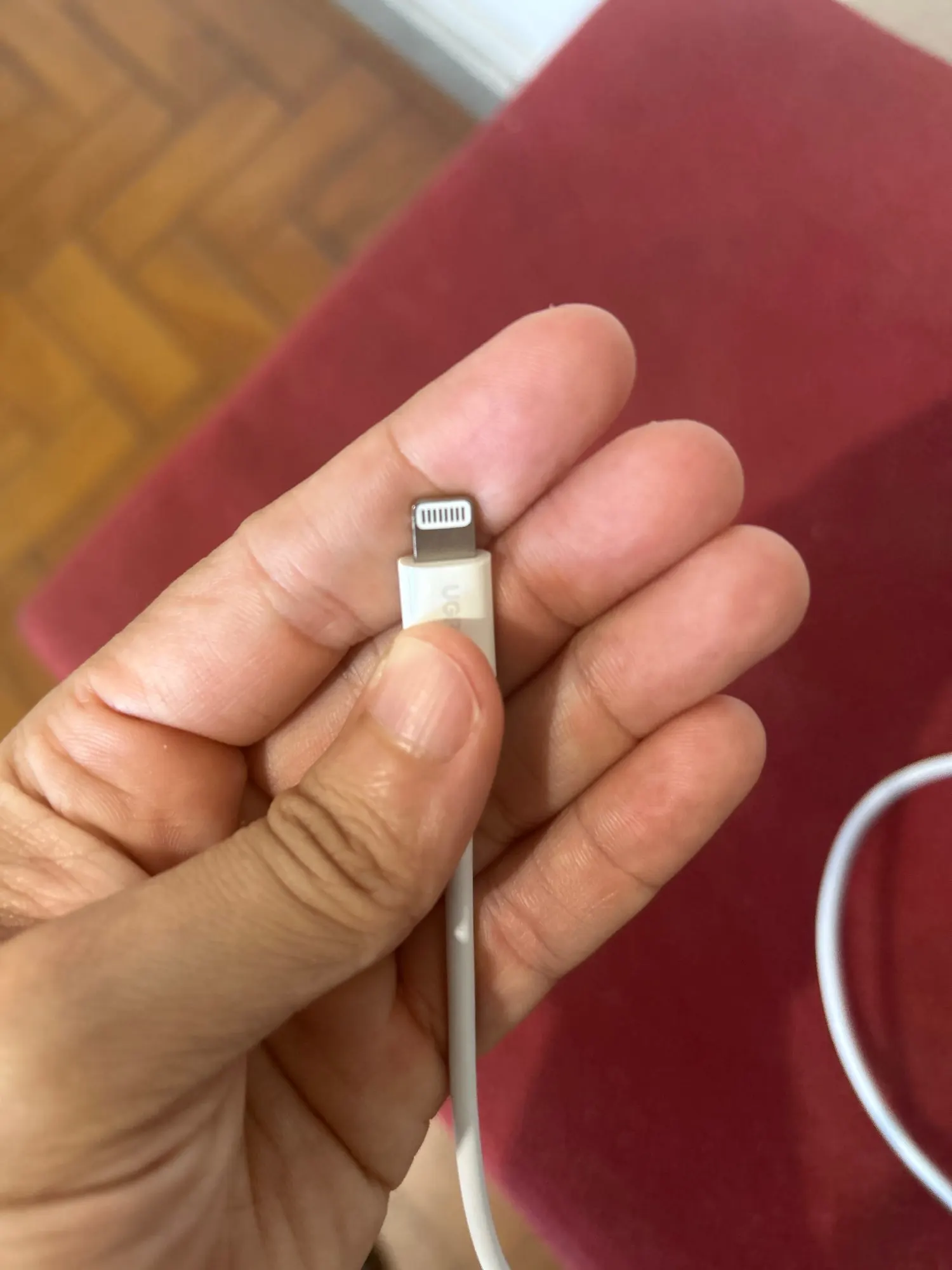 Customer photo