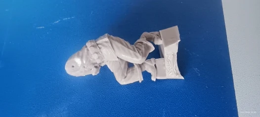 Buyer photo of this resin kit