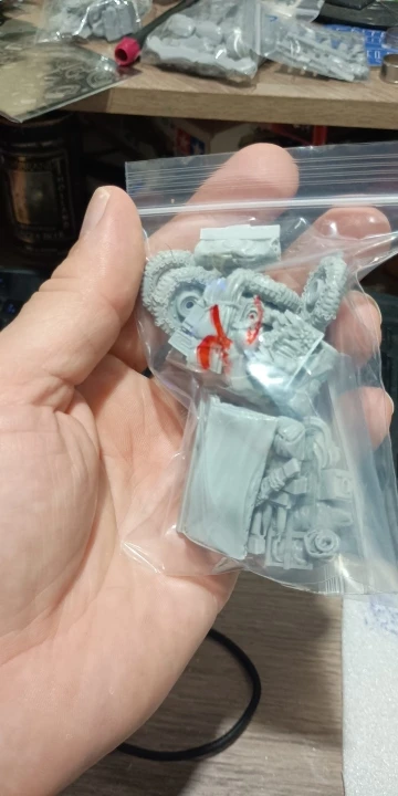 Buyer photo of this resin kit