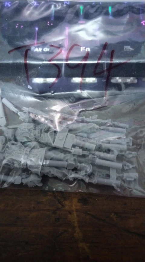 Buyer photo of this resin kit
