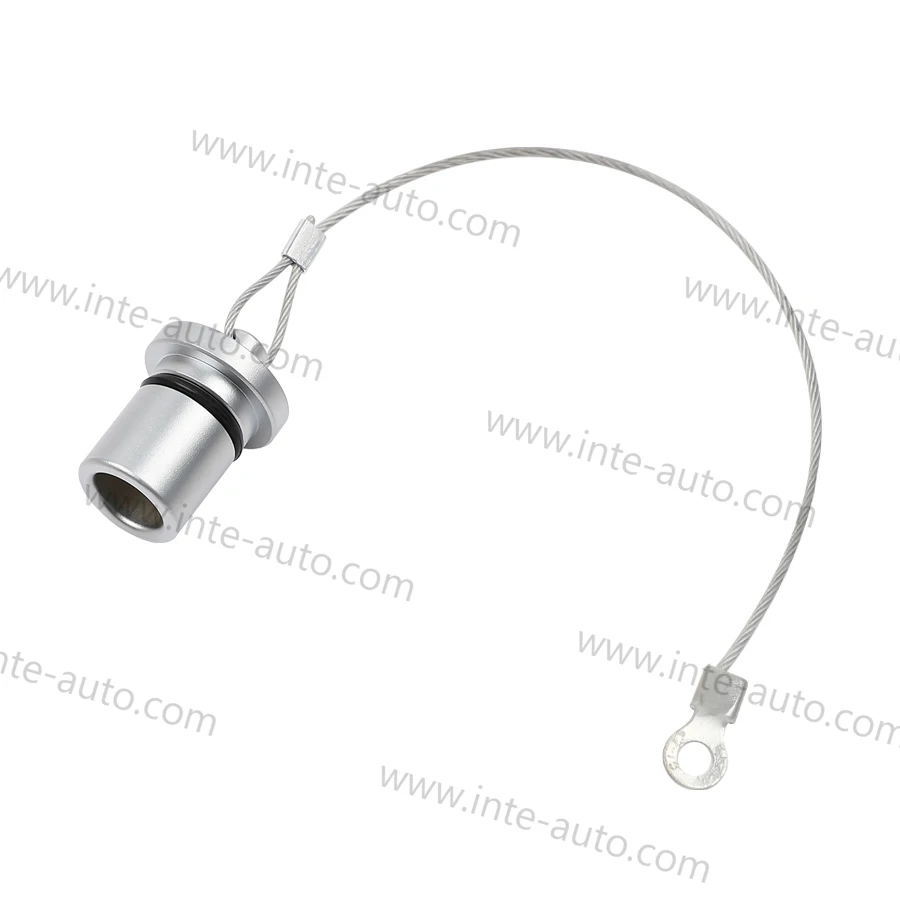 IP68 Brass Metal Dust cap for 1K Socket, Watertight Dust Cover, stainless steel lanyard with solder lug. Shell Size 1K