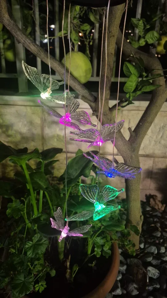 리뷰 사진