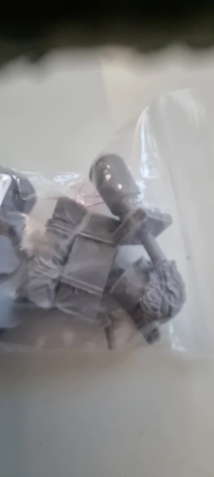 Buyer photo of this resin kit