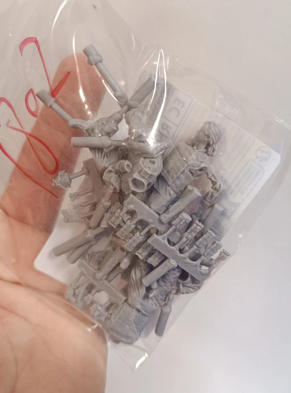Buyer photo of this resin kit
